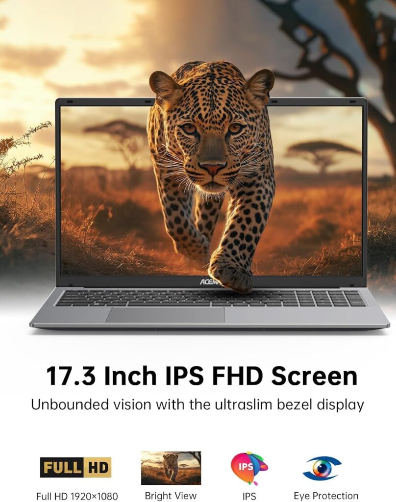 Image of large 17.3 screen for budget laptop in ACEMAGIC AX17 review